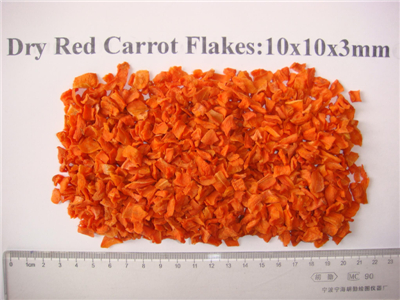 ˮܲ10X10X3Ƭ Dehydrated carrot 10X10X3 slices