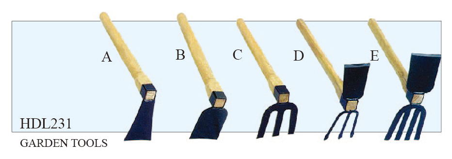 65-66-43